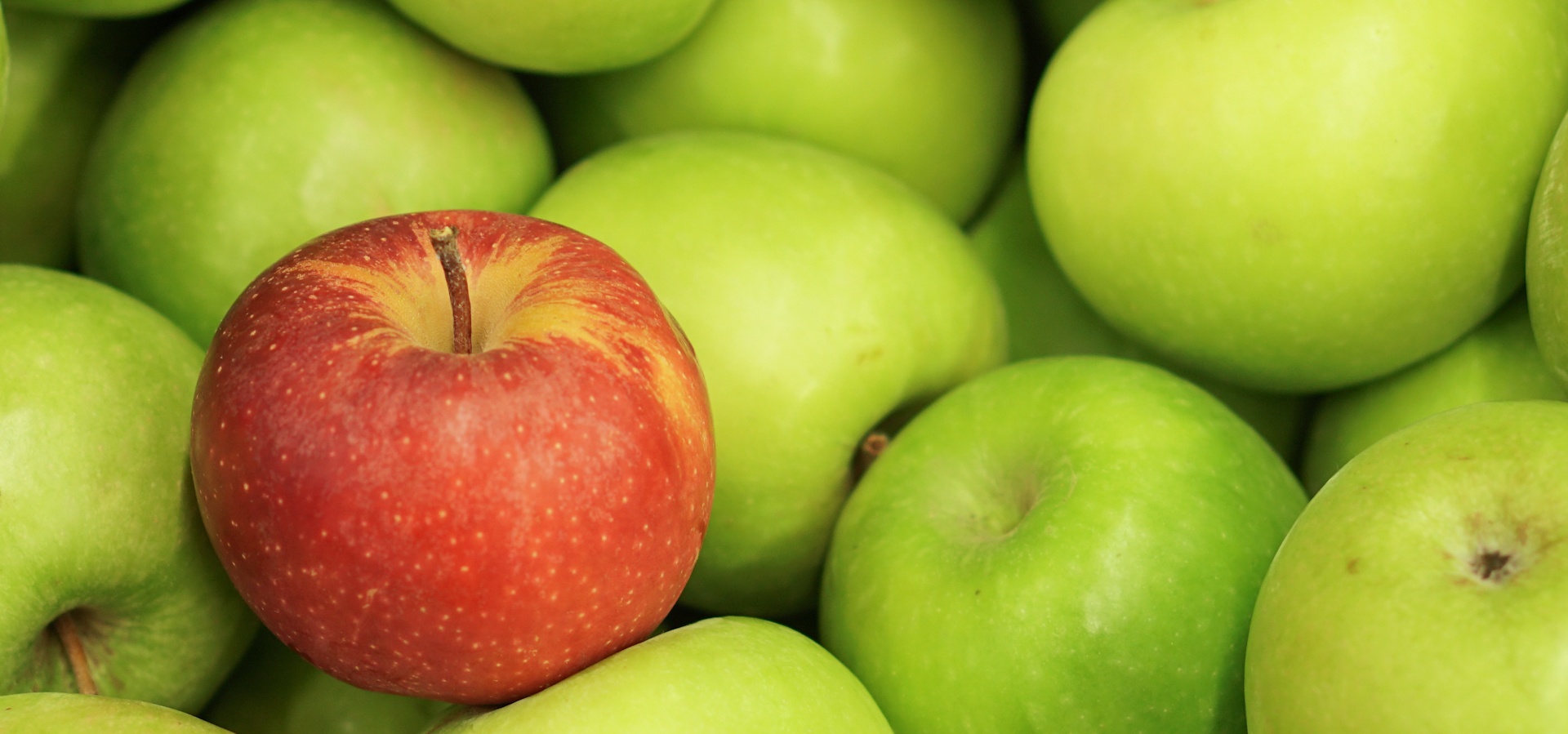 Several green apples with one red apple on top